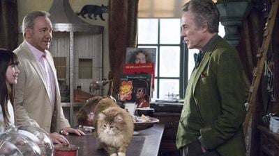 Voll verkatert: Neuer Trailer zur flauschigen Katzen-Komödie  "Nine Lives" mit Kevin Spacey und Christopher Walken