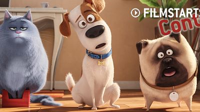 bild aus der news FILMSTARTS-Gewinnspiel zu "Pets"