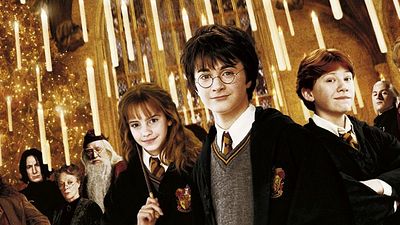 bild aus der news Cooles Video: "Harry Potter"-Fans haben ihr Esszimmer in Hogwarts Große Halle verwandelt