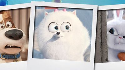 bild aus der news "Pets": Der FILMSTARTS-Familientipp zum Wochenende!