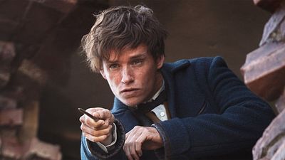 bild aus der news "Phantastische Tierwesen und wo sie zu finden sind": Im neuen Trailer zum "Harry Potter"-Spin-off wimmelt es vor magischen Kreaturen