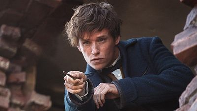 bild aus der news "Phantastische Tierwesen und wo sie zu finden sind": Neuer deutscher Trailer zum Fantasy-Abenteuer aus dem Harry-Potter-Universum
