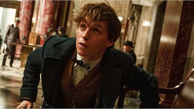 bild aus der news "Phantastische Tierwesen und wo sie zu finden sind": Mit diesen Einspielzahlen rechnen die Experten zum Start des "Harry Potter"-Spin-offs