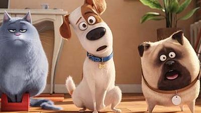 bild aus der news Die 10 besten DVDs und Blu-rays im November 2016