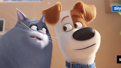 bild aus der news Die FILMSTARTS-VOD-Tipps des Monats: November 2016