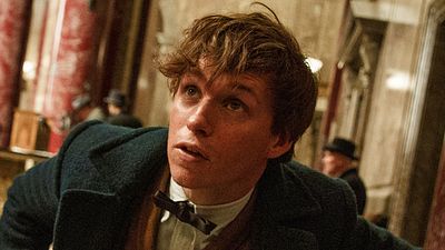 bild aus der news Die ersten Kritiken zu "Phantastische Tierwesen und wo sie zu finden sind" sind da