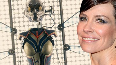 bild aus der news "Ant-Man & The Wasp": Wie sich Doctor Strange auf die Ant-Man-Fortsetzung auswirken könnte