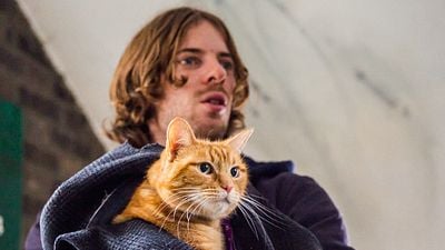 bild aus der news Katze als Lebensretter: Neuer deutscher Trailer zu "Bob, der Streuner" nach dem gleichnamigen Bestseller