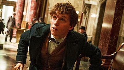 bild aus der news J.K. Rowling gibt Entwarnung: Newt Scamander wird weiterhin die Hauptfigur der "Phantastische Tierwesen"-Reihe bleiben