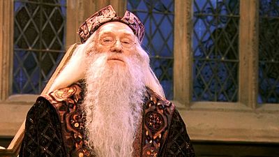 bild aus der news Wird der Sohn des originalen Dumbledore zum jüngeren Zauberer in "Phantastische Tierwesen 2"? Jared Harris äußert sich zur Fan-Kampagne