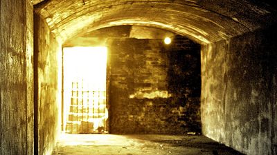 bild aus der news Kay Scarpetta: Kino-Franchise um die Gerichtsmedizinerin von Bestsellerautorin Patricia Cornwell soll kommen