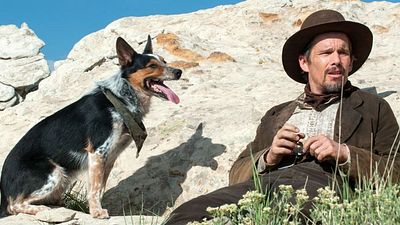 bild aus der news Die 10 besten DVDs und Blu-rays im Januar 2017