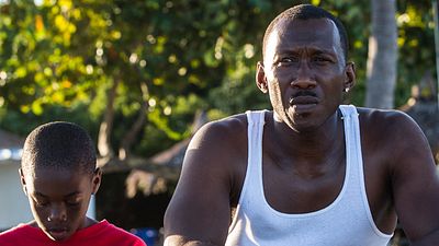 bild aus der news "Moonlight": Erster deutscher Trailer zum gefeierten Oscar-Favoriten