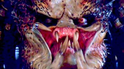 bild aus der news "The Predator" - Was wir bisher wissen und was wir uns für die Fortsetzung wünschen!