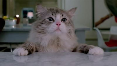 Deutscher Trailer zur Komödie "Voll verkatert": Kevin Spacey als Katze mit Oliver Kalkofes Stimme