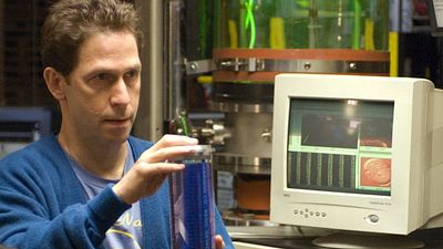 bild aus der news "The True Don Quixote": In neuer Komödie zur alten Geschichte sucht Tim Blake Nelson Liebe und Ruhm in der Nachbarschaft