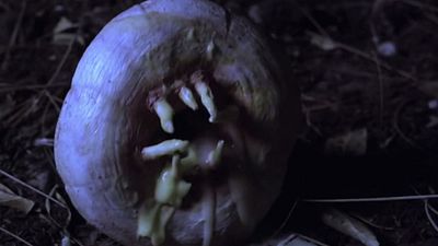 bild aus der news "Attack Of The Killer Donuts": Im Trailer will köstlich aussehendes Gruselgebäck Menschen verspeisen