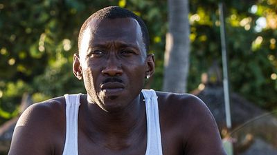bild aus der news Mahershala Ali für "True Detective" bestätigt: HBO spricht mit Regisseuren für dritte Staffel 