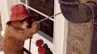 bild aus der news "Paddington 2": Im neuen deutschen Trailer ist der knuffige Bär los