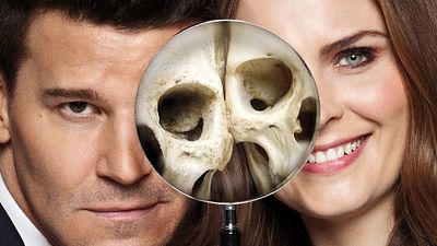 bild aus der news Deutscher TV-Start der 12. Staffel "Bones": Emily Deschanel und David Boreanaz ermitteln zum letzten Mal gemeinsam