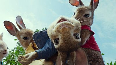 bild aus der news Chaos pur im Trailer zu "Peter Hase": "Star Wars 7"-Bösewicht Domhnall Gleeson legt sich mit Langohren an