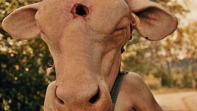 bild aus der news "Leatherface - The Source Of Evil": Blutiger deutscher Trailer zum "Texas Chainsaw Massacre"-Prequel