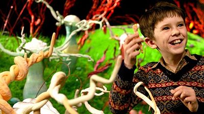 bild aus der news Was macht eigentlich… "Charlie und die Schokoladenfabrik"-Knirps Freddie Highmore?