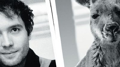 bild aus der news Marc-Uwe Klings "Känguru-Chroniken" kommen 2019 ins Kino und das Känguru spielt sich wahrscheinlich selbst