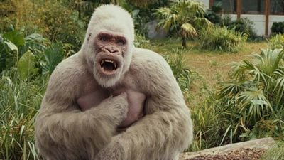 bild aus der news Affig oder knuffig? Der "Rampage"-Soundtrack wurde von echten Affen "gesungen"