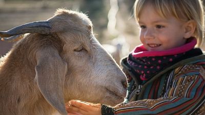 bild aus der news Im Trailer zu "Citizen Animal – A Small Family's Quest For Animal Rights" kommen Tierschützer aus aller Welt zu Wort