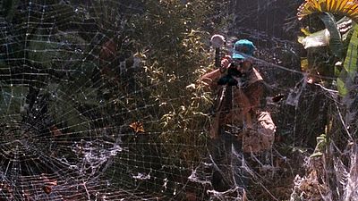 bild aus der news IGITT! James Wan produziert "Arachnophobia"-Remake