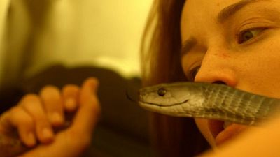 bild aus der news Trailer: Zwei Camper bekommen es in "Don’t Move – Halt still!" mit einer Schwarzen Mamba zu tun