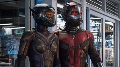 bild aus der news Ameisen für Alle! FSK gibt Altersfreigabe für "Ant-Man And The Wasp" bekannt