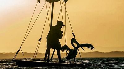 bild aus der news Ein Junge, ein Pelikan und Oscarpreisträger Geoffrey Rush im ersten Trailer zu "Storm Boy"