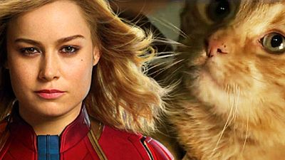 bild aus der news Die Katze im Trailer zu "Captain Marvel": Was ist eigentlich ein Flerken?