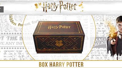 bild aus der news Ein Weihnachtswunder: Die "Harry Potter"-Wootbox!