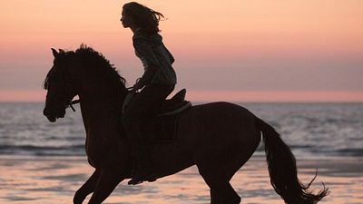 bild aus der news Langer Trailer zum Pferde-Abenteuer "Immenhof - Das Abenteuer eines Sommers"