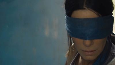 Verdacht: Netflix macht mit Fake-Profilen Stimmung für "Bird Box"