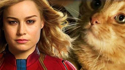 Vor "Avengers 4": Marvel startet mit neuen (Katzen-)Postern den "Captain Marvel"-Countdown