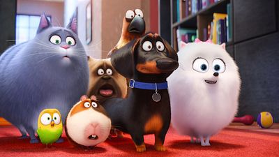 bild aus der news "Pets 2": Im neuen Trailer wird eine Hündin zur Katze