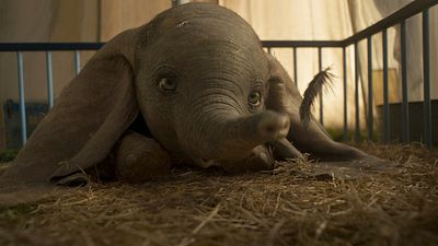 bild aus der news "Dumbo": Neuer Trailer zum Realfilm-Remake des Disney-Klassikers