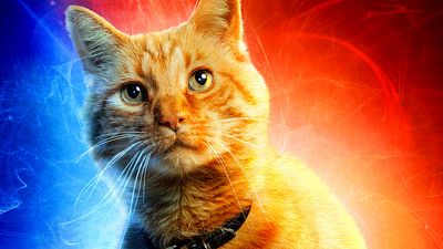 bild aus der news "Captain Marvel"-Publikum ist sich einig: Die Katze ist (selbstverständlich) die beste Figur
