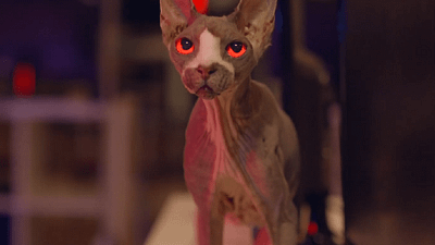 bild aus der news Mit einer Terror-Nacktkatze: Trailer zum Billig-"Friedhof der Kuscheltiere" "Pet Graveyard"