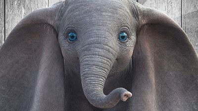 bild aus der news "Dumbo": FSK gibt Altersfreigabe für Disney-Realverfilmung bekannt