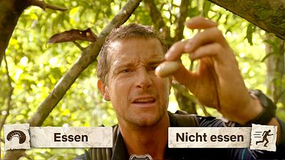 bild aus der news Trailer zur interaktiven Netflix-Serie "Du gegen die Wildnis": Ihr entscheidet das Schicksal von Bear Grylls