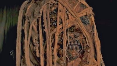 Ohne Tom Cruise, dafür mit dreisten Behauptungen: Der Trailer zu "The Mummy Reborn"