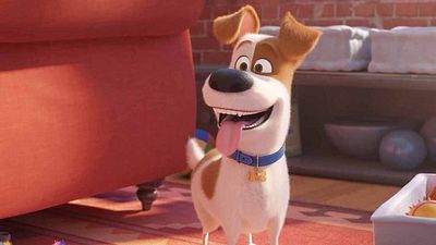 bild aus der news Neuer deutscher Trailer zu "Pets 2": Hund, Katze, Hase und jetzt auch noch ein Baby!
