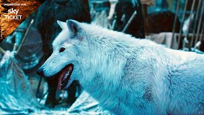 bild aus der news "Game Of Thrones": Das ist der wahre Grund für Jons lieblose Szene mit Ghost