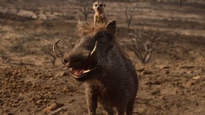 "König der Löwen"-Remake: Timon und Pumbaa retten im neuen Trailer den Tag