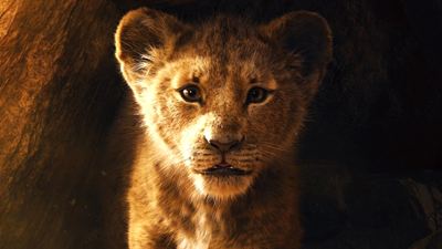 Ist das "Der König der Löwen"-Remake ein Animations- oder ein Realfilm? Das sagt der Regisseur dazu